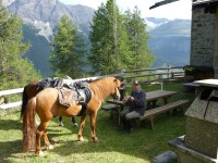 /album/engadin/p1000291-kl-jpg/